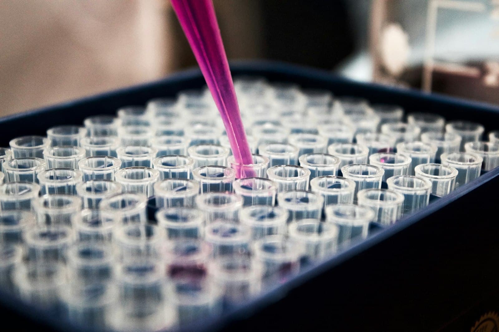 Do Probiotics Work for Dogs? What the Studies Found